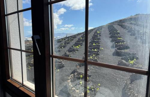 Vineyard House - Foto 27