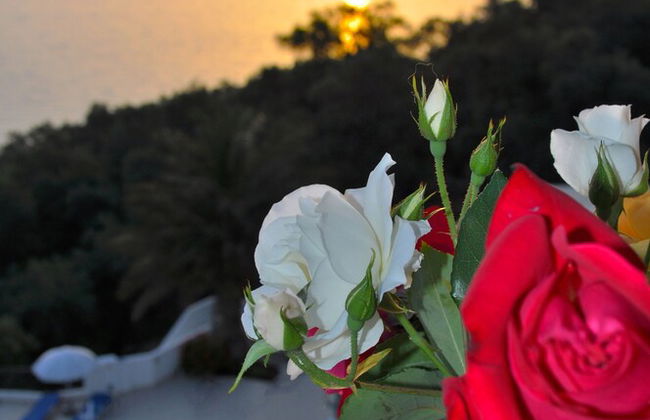 Holiday Apartments Maria With Pool and Amazing View - Agios Gordios Beach - Foto 24
