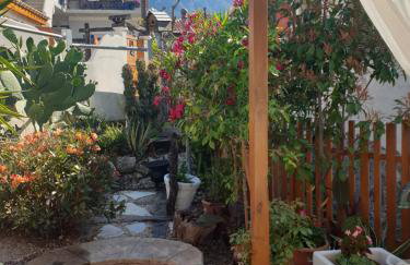 Villa Rena Agios Petros - Foto 50