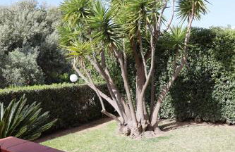 Villa con Giardino di 2000mq al Plemmirio - 400m dal Mare - Foto 62