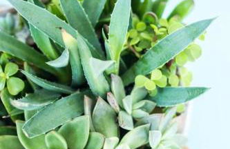 Open and Comfy home near Downtown-Folly Beach - Foto 16