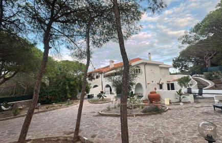 Villa La Caletta - Foto 12