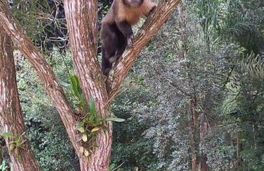 Sítio Casa Grande - Foto 71