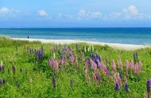 Ferienwohnung Bambuswald Ferienhof Geltinger Bucht - Foto 28