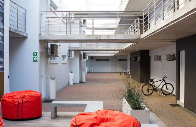 WINK Quiver Tree - Foto 44