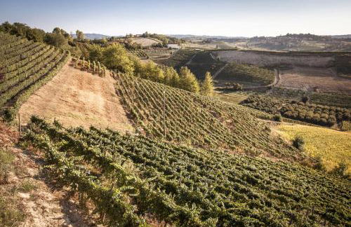 Villa Vinory - La Mandragola - Foto 21