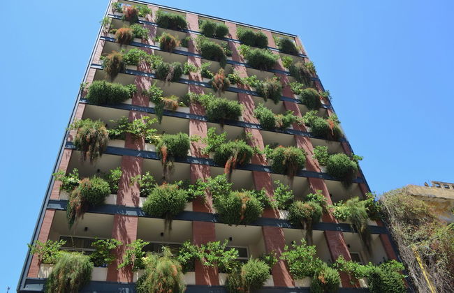 Nest 1 Hotel - Foto 1