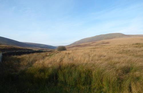 Sunnybrook Cottage - Foto 18