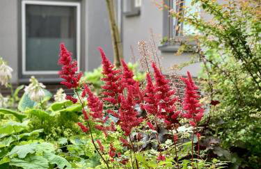 4-Studios - Photo 61