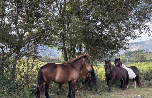 El Refugio de los Corrales - Foto 80