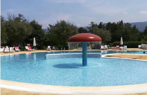 Casa Catraia Gondramaz no Pulmão da Serra da Lousã - Foto 7