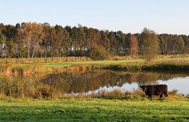 Holiday Home in Den Haag With Terrace - Foto 36