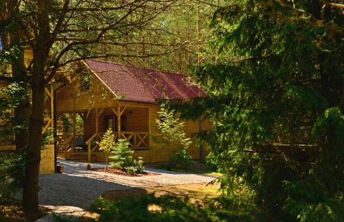 Mazury - Giżycko - Harsz - Domki - ApartMazury Osada - Foto 18