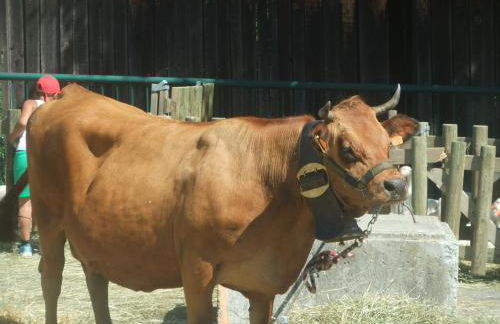 Gîte Les Grands Champs - Foto 14