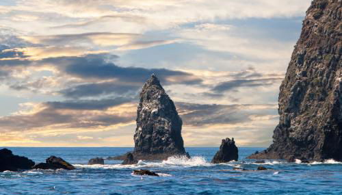 Sailaway Cabin B - Foto 4