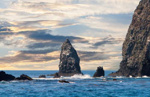 Sailaway Cabin B - Foto 4