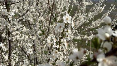 Cannubi San Lorenzo Appartamento - Foto 2