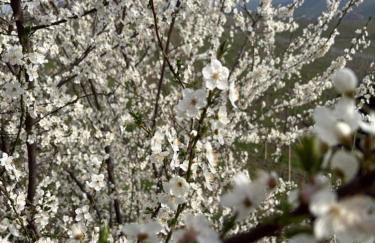 Cannubi San Lorenzo Appartamento - Photo 2