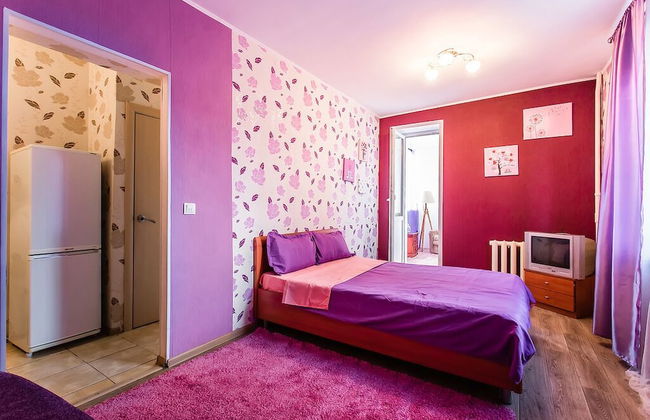 Apartment on Nizhegorodskaya 71 - Foto 8