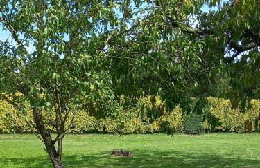 La Commanderie Grand Gite 10kms " Puy duFou" - Foto 11