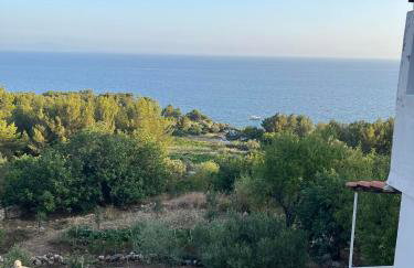 Apartment and Studio Ivan Dolac - Foto 12