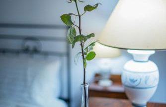 Agriturismo Olmo Bello - Foto 22