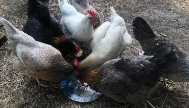 Spinnaker Barn, boutique, cute barn with hot tub - Foto 5