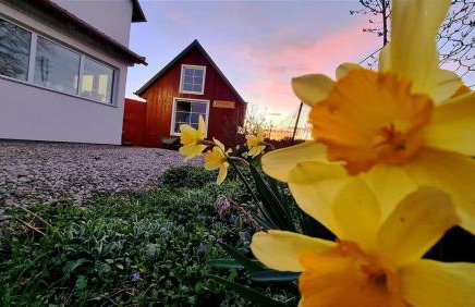 Three Little Birds Artists Residence - Foto 56