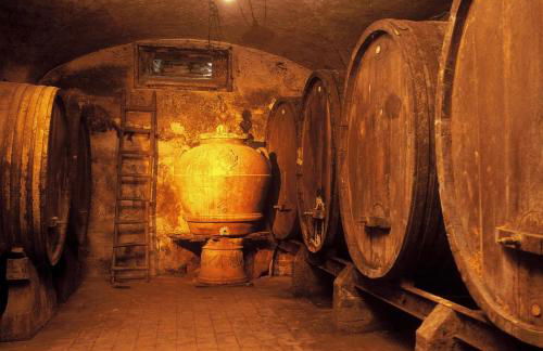 Castello di Cafaggio - Foto 70