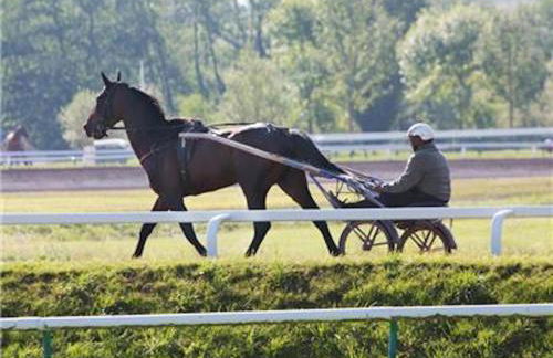 La Villa Du Lac- 3 rooms for 6 people - Foto 54