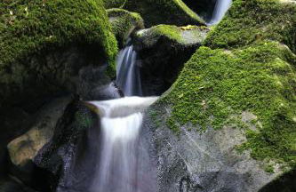 Dartmoor Reach Alpaca Farm - Foto 96