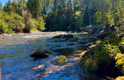 Jocko River Retreat - A Nature Lovers Dream - Foto 30