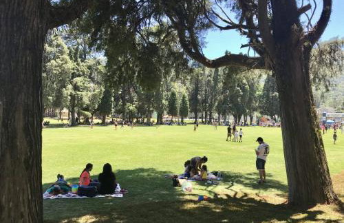 Apartamento Novo - 02 qtos - Foto 36