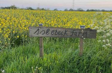 Cosy family farm static caravan - Foto 13