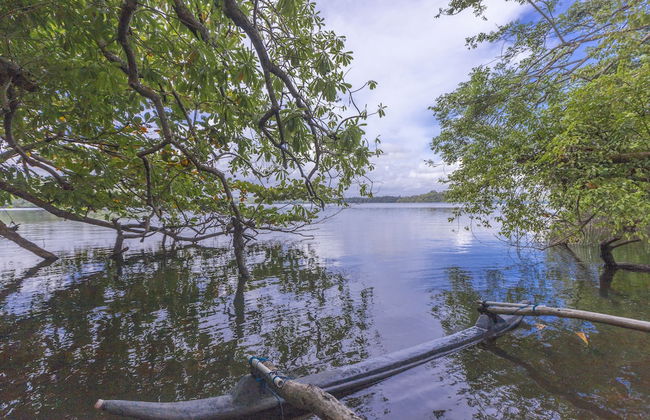 Serendipity Lake - Hikkaduwa - Photo 25