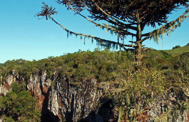 Excursión al cañón de Palanquinhos y campos de Criúva - Foto 1