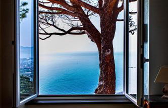 Olivenere agriturismo - Foto 13