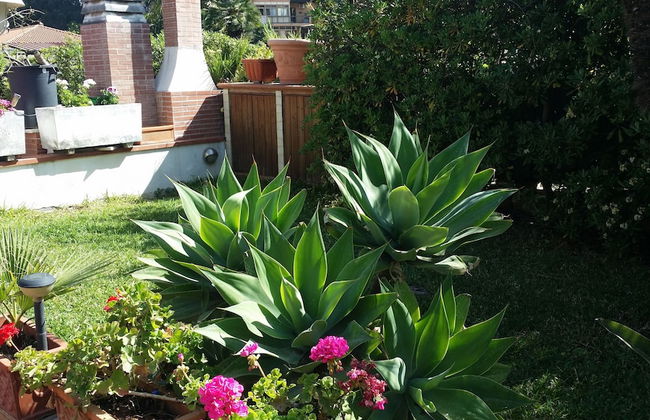 A True Oasis In The City - Foto 7