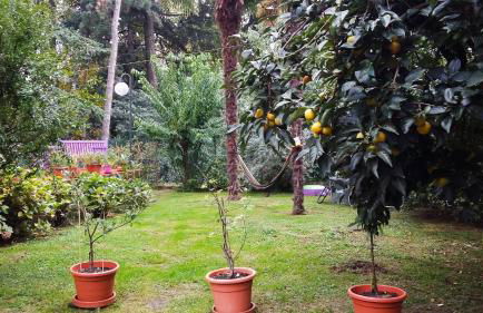 Adda River Casa Vacanza - Foto 6