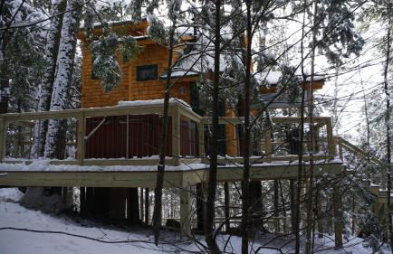 Stellahouse - Awesome Maine Treehouse - Foto 26
