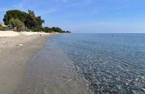 Bord De Mer, Commerces Rivière 15mn - Foto 32