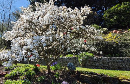 Amstadt's Birkenfels - Foto 9