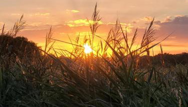 Stonesthrow 184 Broadside Chalet Park Stalham - Foto 2