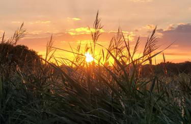 Stonesthrow 184 Broadside Chalet Park Stalham - Photo 2