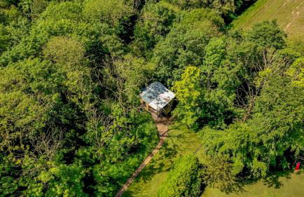 Deer View Cabin - Woodland, beaches and Hot tub - Foto 1