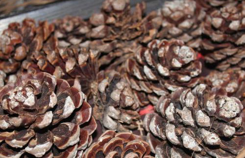 SixtyNine Beach Cottage - Foto 48