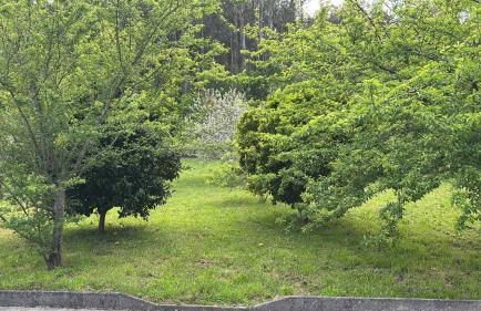 Casa de Outes - Foto 19