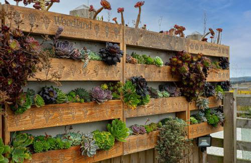 The Woodland Collection, 10 mins from beaches - Photo 17