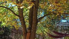 Siedlisko Urszulanka Dom - Foto 4