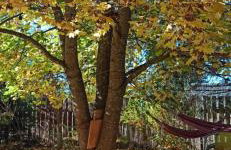 Siedlisko Urszulanka Dom - Foto 4